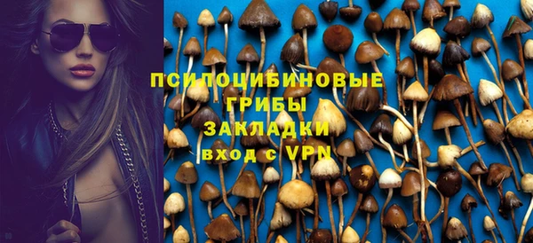 твердый Алексеевка